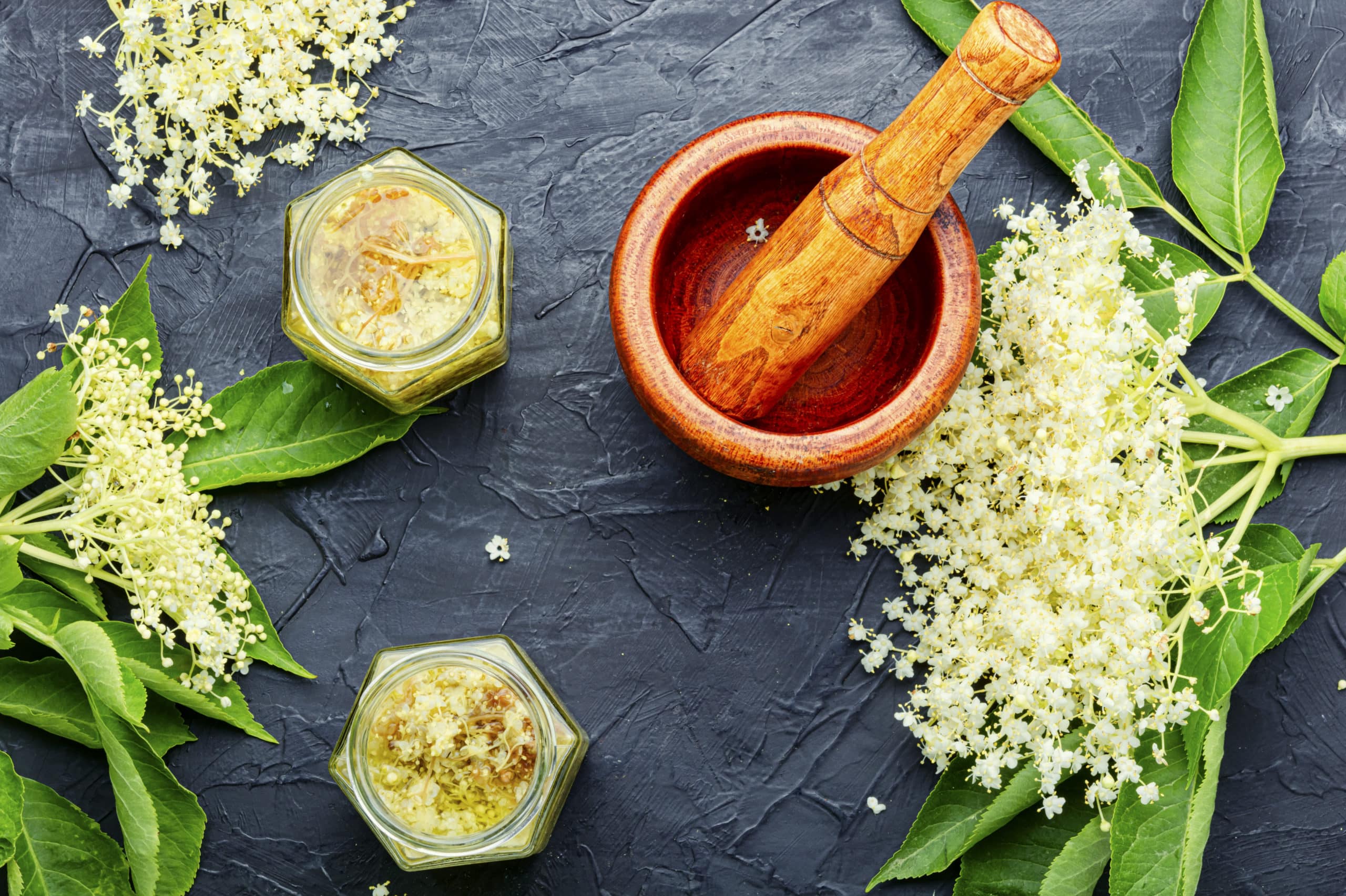 Aspirina Vegetal Rea Reino Perdido