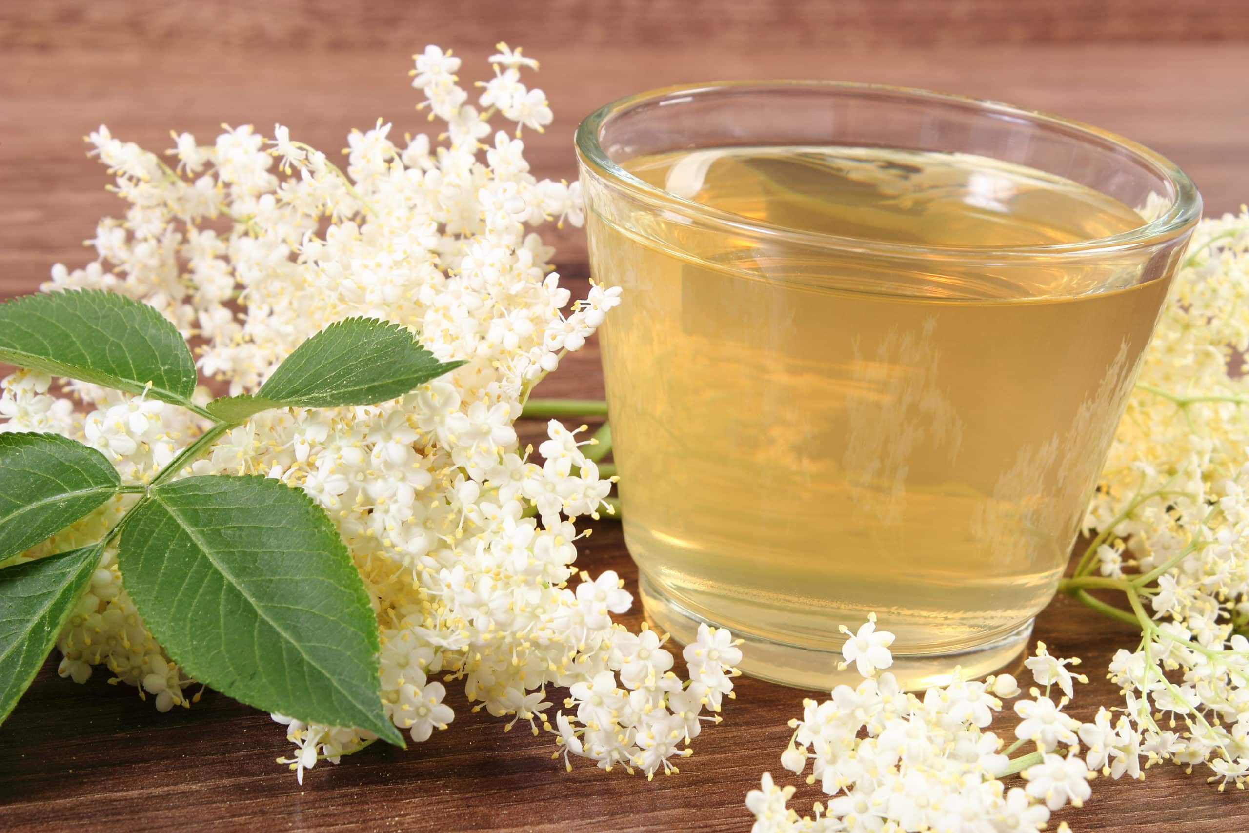 Aspirina Vegetal Rea Reino Perdido