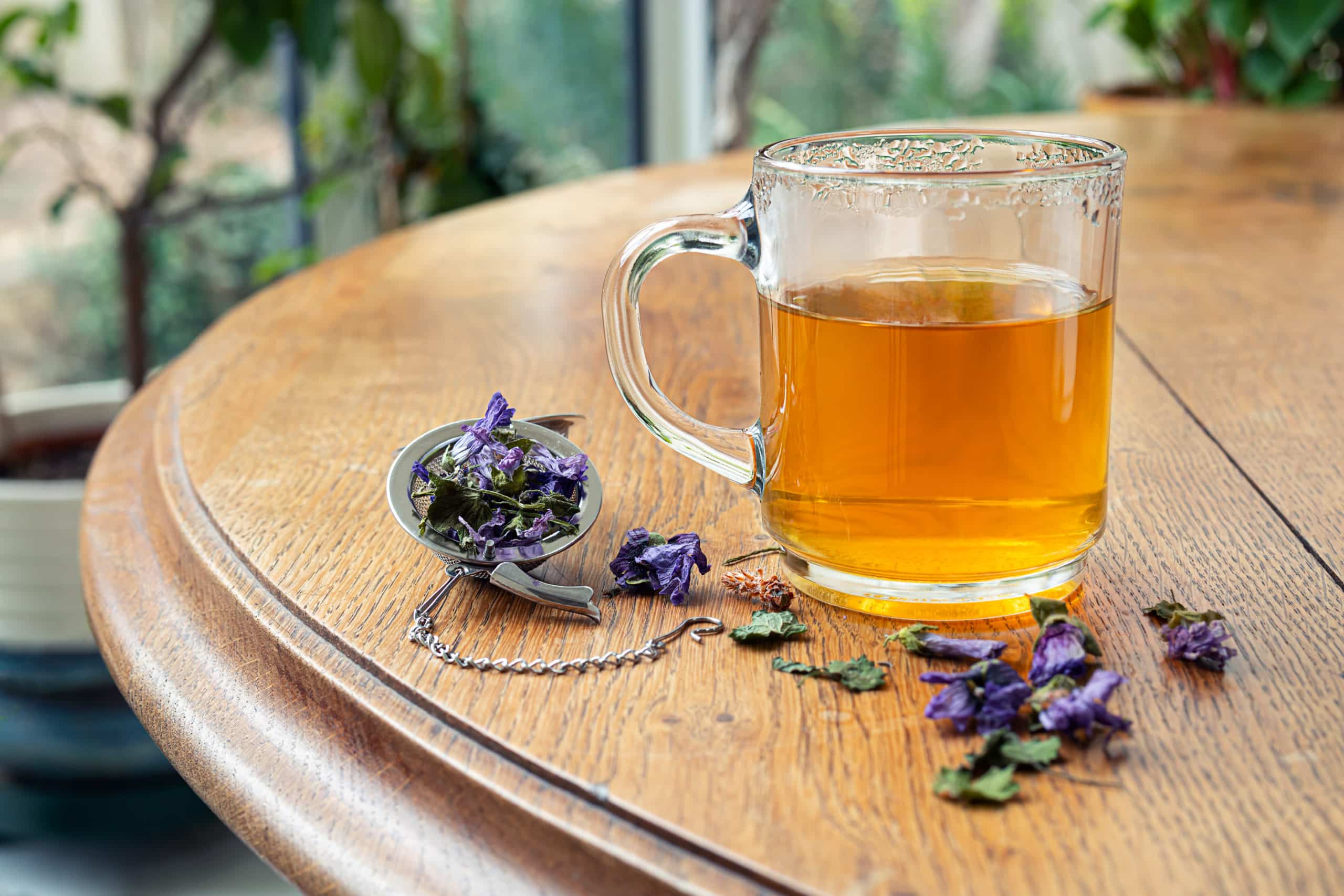Malvae Tea Malva - Rea Reino Perdido
